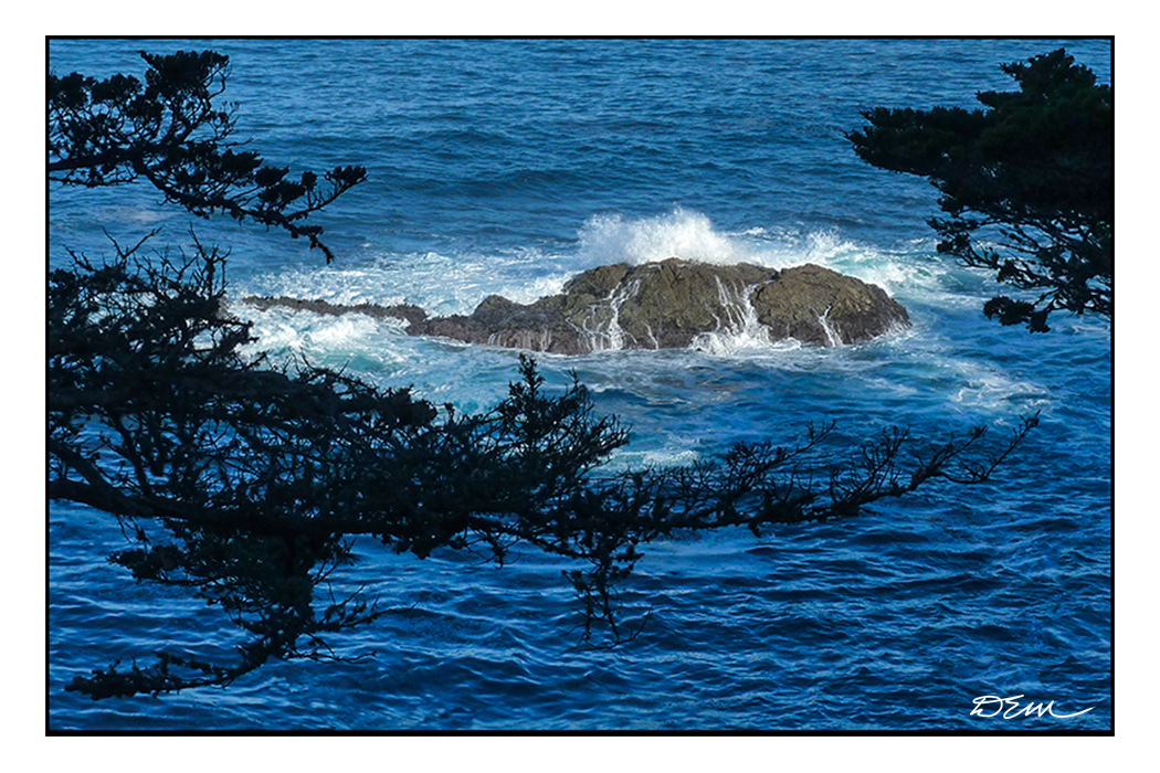 Point Lobos, California coast