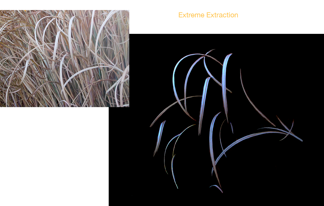 Grass Leaves extreme extraction before and after