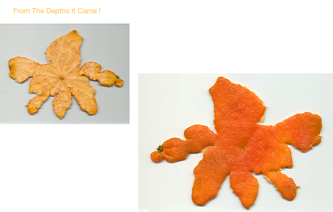 Tangerine before and after