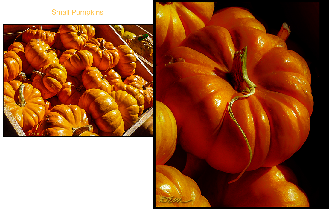 Small pumpkins in the market